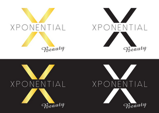 XPONENTIAL BEAUTY logo