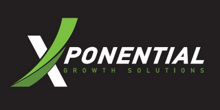 XPONENTIAL GROWTH SOLUTIONS logo