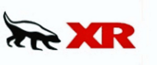 XR logo