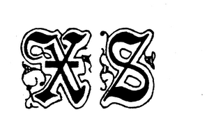 XS logo