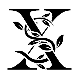 XS logo