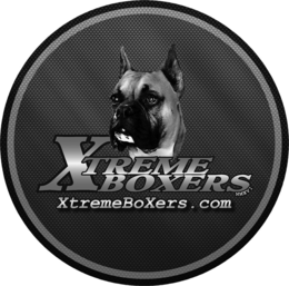 XTREME BOXERS MMXVI XTREMEBOXERS.COM logo