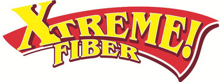 XTREME! FIBER logo