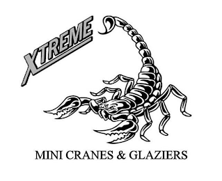 XTREME MINI CRANES & GLAZIERS logo