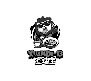 XUANDI-13 logo