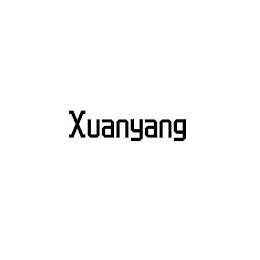 XUANYANG logo