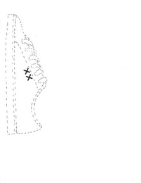 XX logo