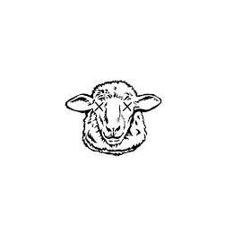 XX logo