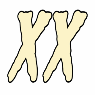 XX logo