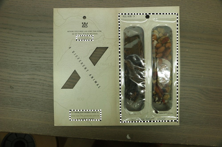 XX, NOTHING FEELS MORE LIKE HOME THAN BEING ON THE TRAIL WITH MY WOLFPACK, A DIFFERENT ANIMAL logo