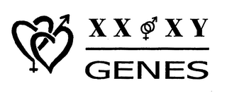 XX XY GENES logo