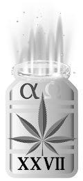 XXVII logo
