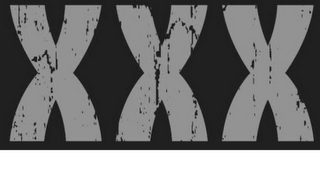 XXX logo