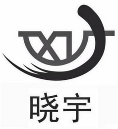 XY logo