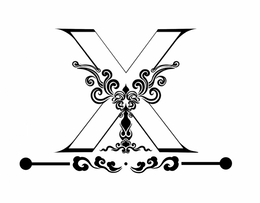 XY logo
