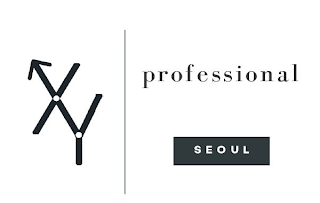 XY PROFESSIONAL SEOUL logo