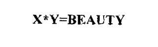 X*Y=BEAUTY logo