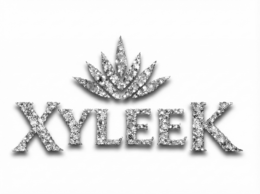 XYLEEK logo