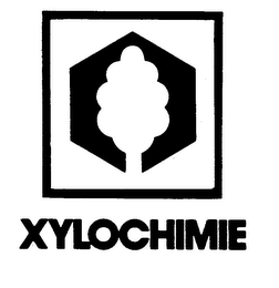 XYLOCHIMIE logo