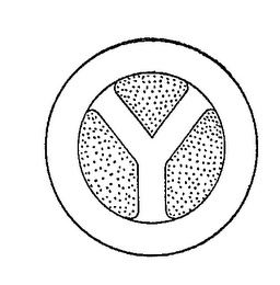 Y logo