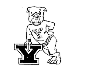 Y logo