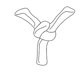 Y logo