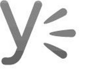 Y logo