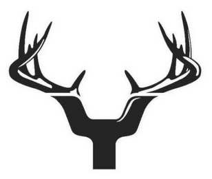 Y logo