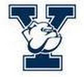 Y logo