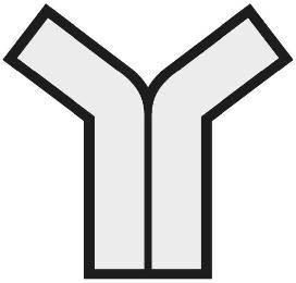 Y logo