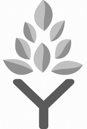 Y logo