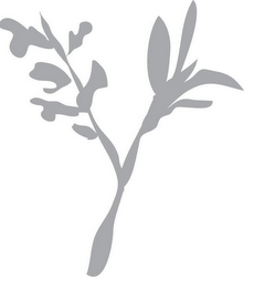 Y logo
