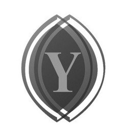 Y logo