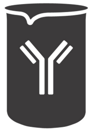 Y logo