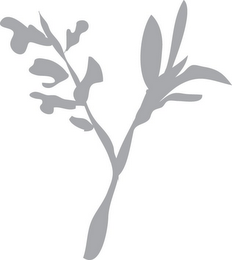 Y logo