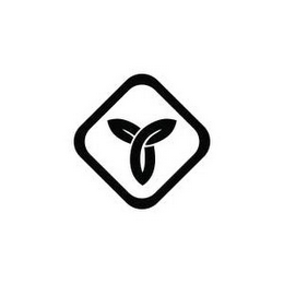 Y logo