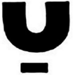 Y logo