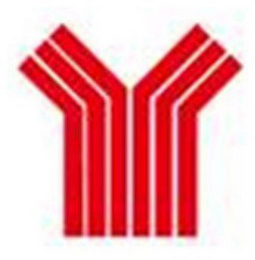 Y logo