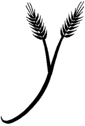 Y logo