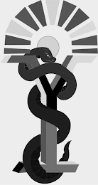 Y logo