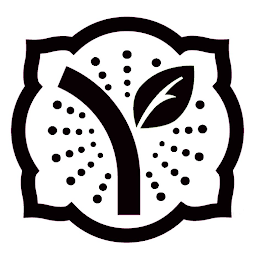 Y logo