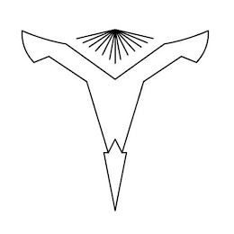 Y logo