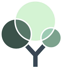 Y logo