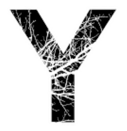 Y logo