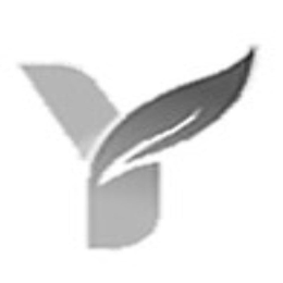 Y logo