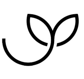 Y logo