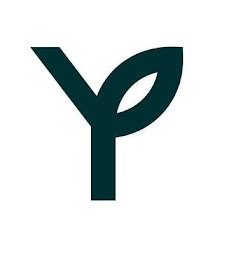 Y logo