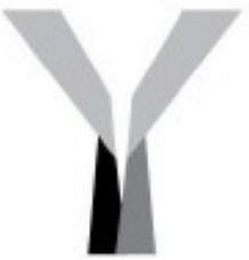 Y logo