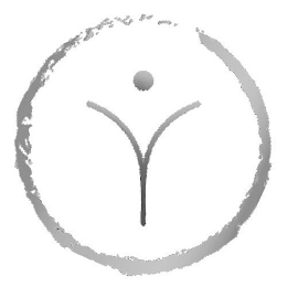 Y logo