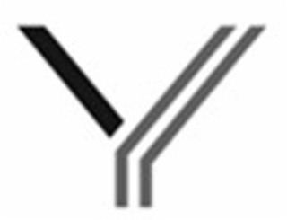 Y logo